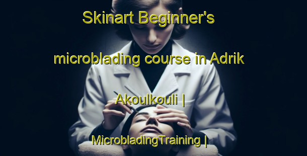 Skinart Beginner's microblading course in Adrik Akoulkouli | MicrobladingTraining | MicrobladingClasses | SkinartTraining-Chad
